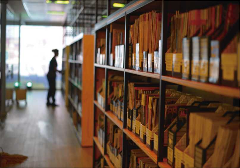 Biblioteca en el interior de la Cinemateca