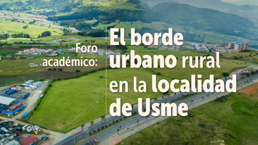 Grafica Foro el borde urbano 