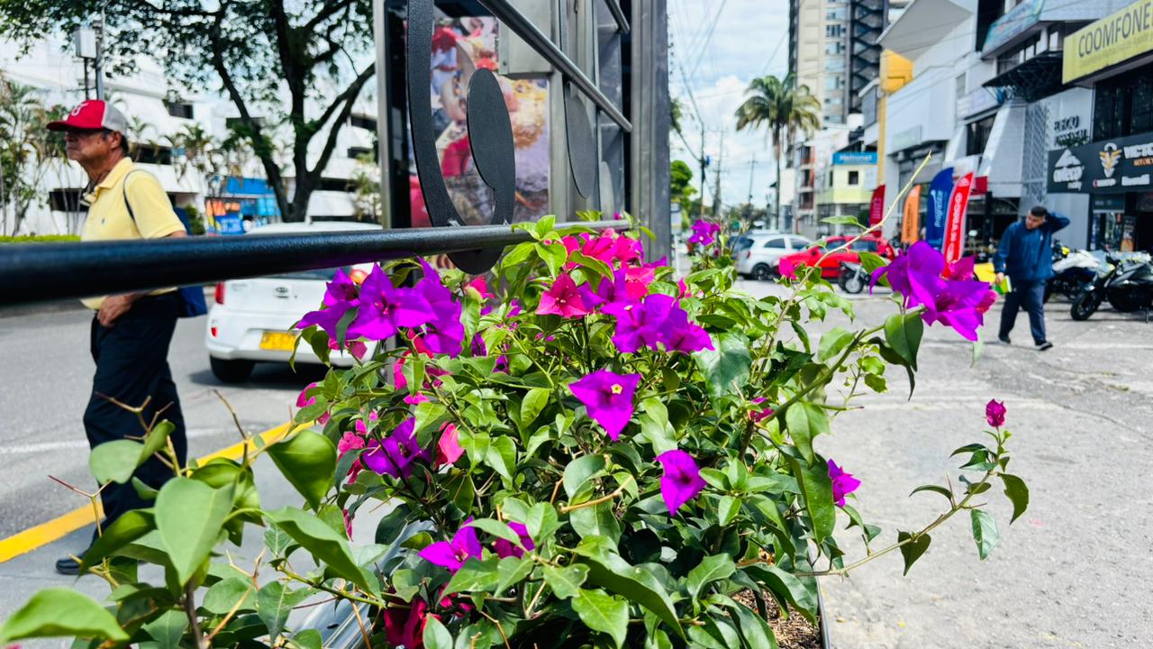 El sector público se une con los empresarios para darles una nueva cara a los paraderos de Ibagué