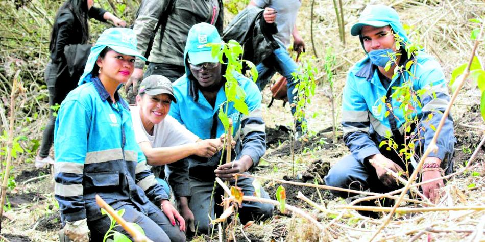 Exhabitantes del Bronx sembraron 5.000 árboles en tres horas | EL TIEMPO